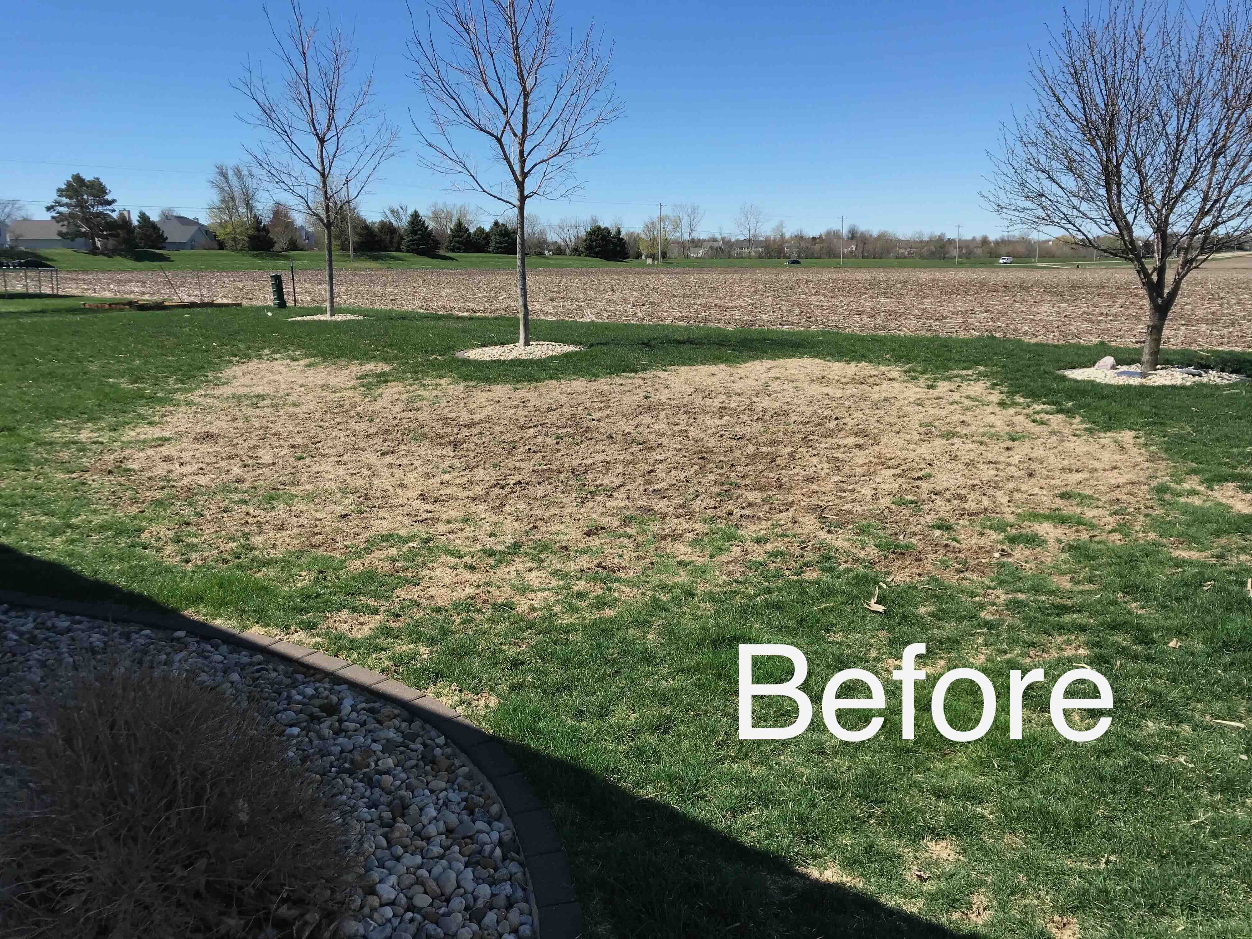 Austin's Lawn Service work photo 12