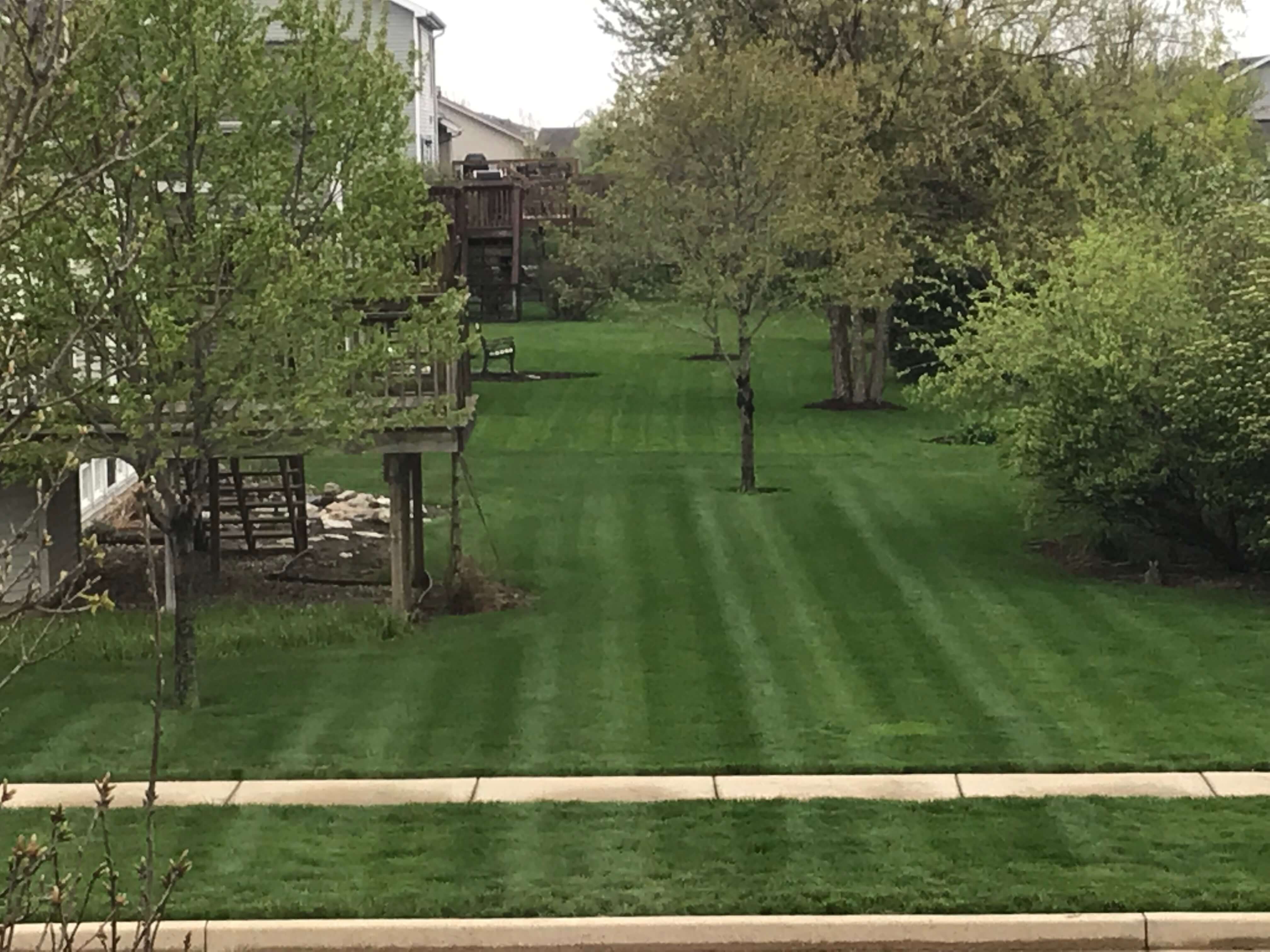 Austin's Lawn Service work photo 9