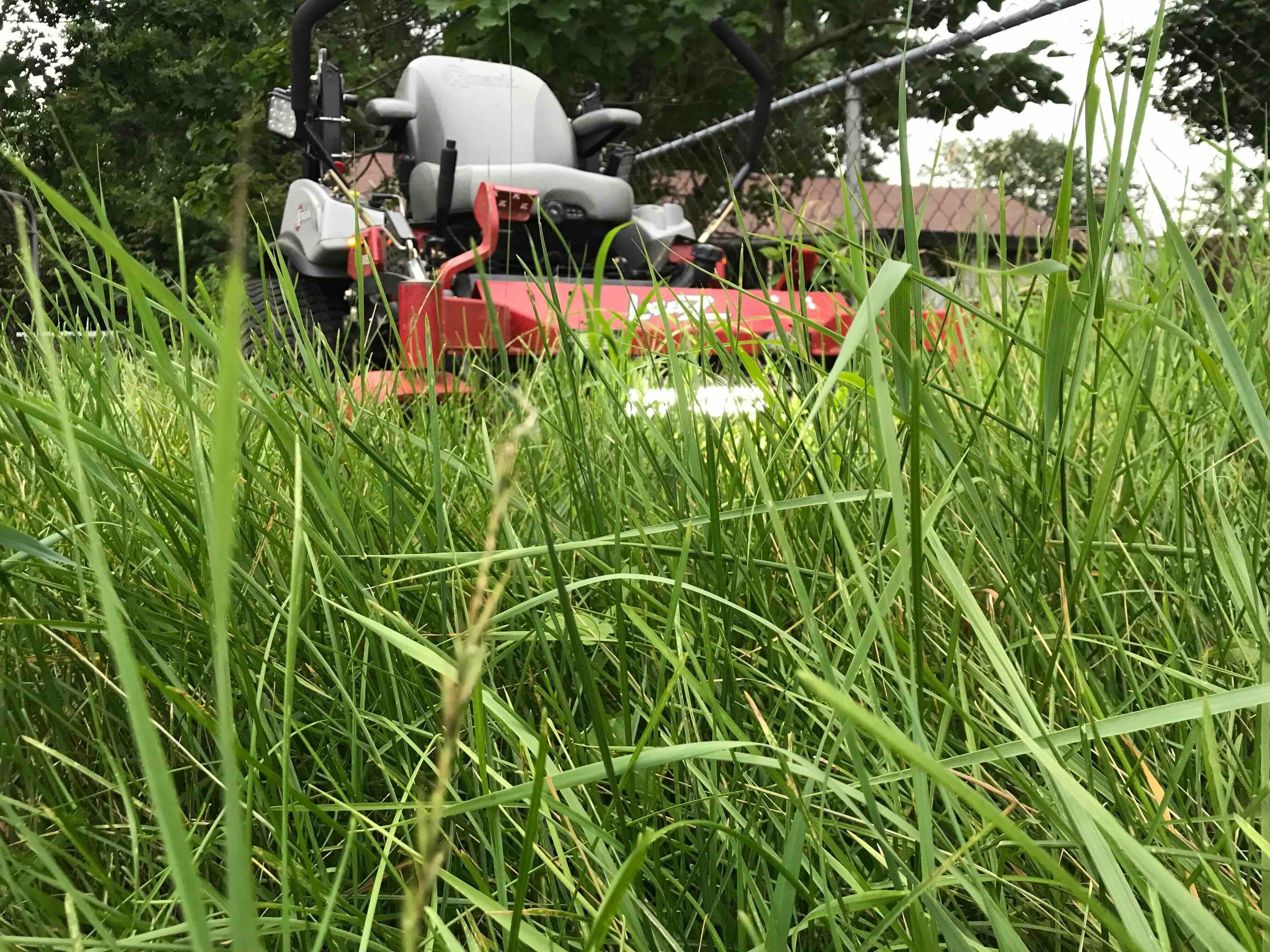 Austin's Lawn Service work photo 10