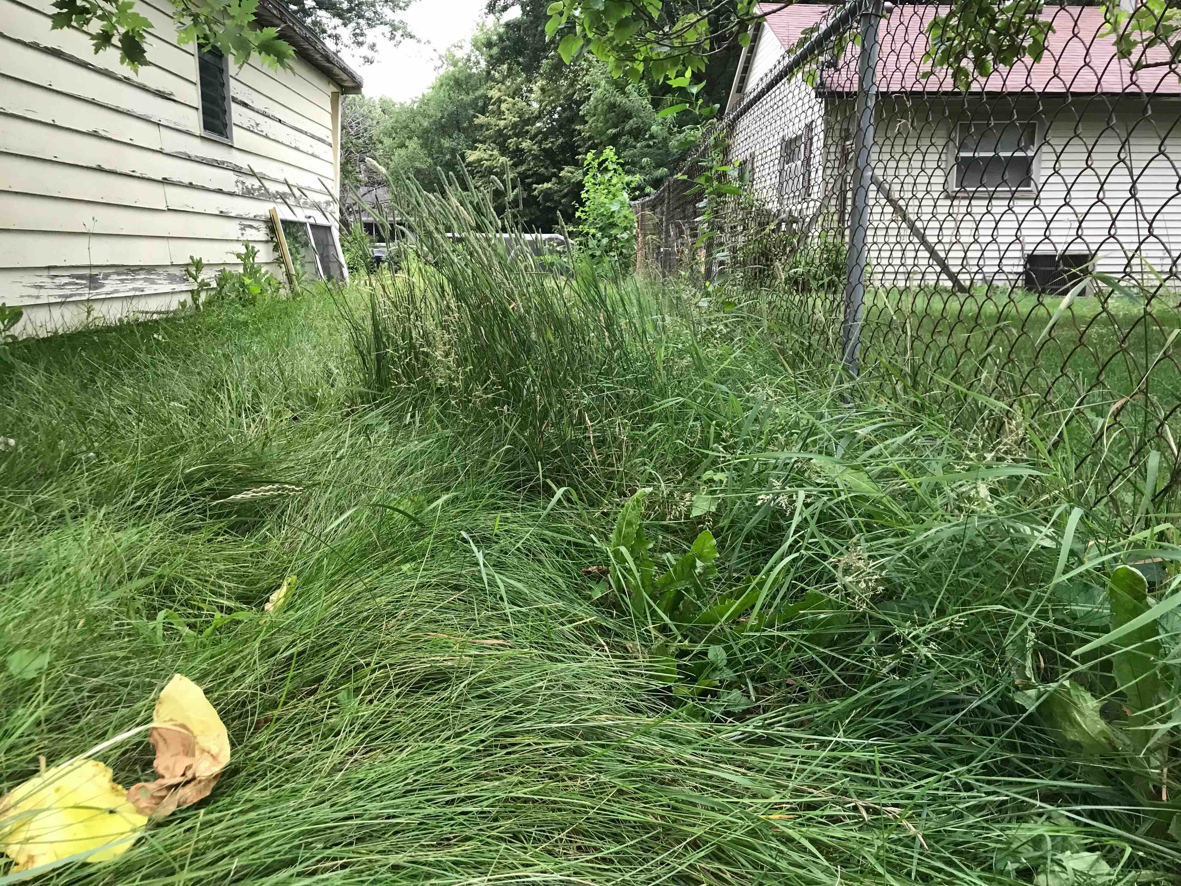 Austin's Lawn Service work photo 11